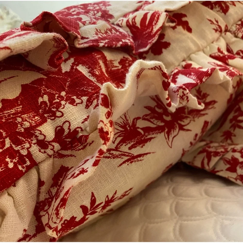 Authentique Vintage Pair of French Toile Euro-Shams 26 » Square ~ France ~ VGVC